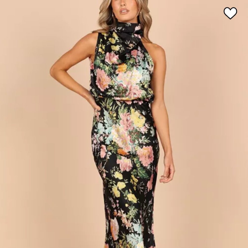 Petal & Pup Floral Midi Dress - Black and Multicolor
